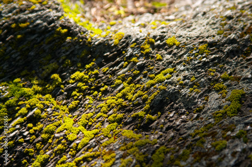northern stone surface photo