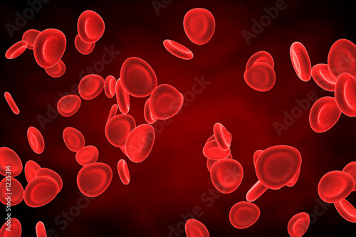 blood cells