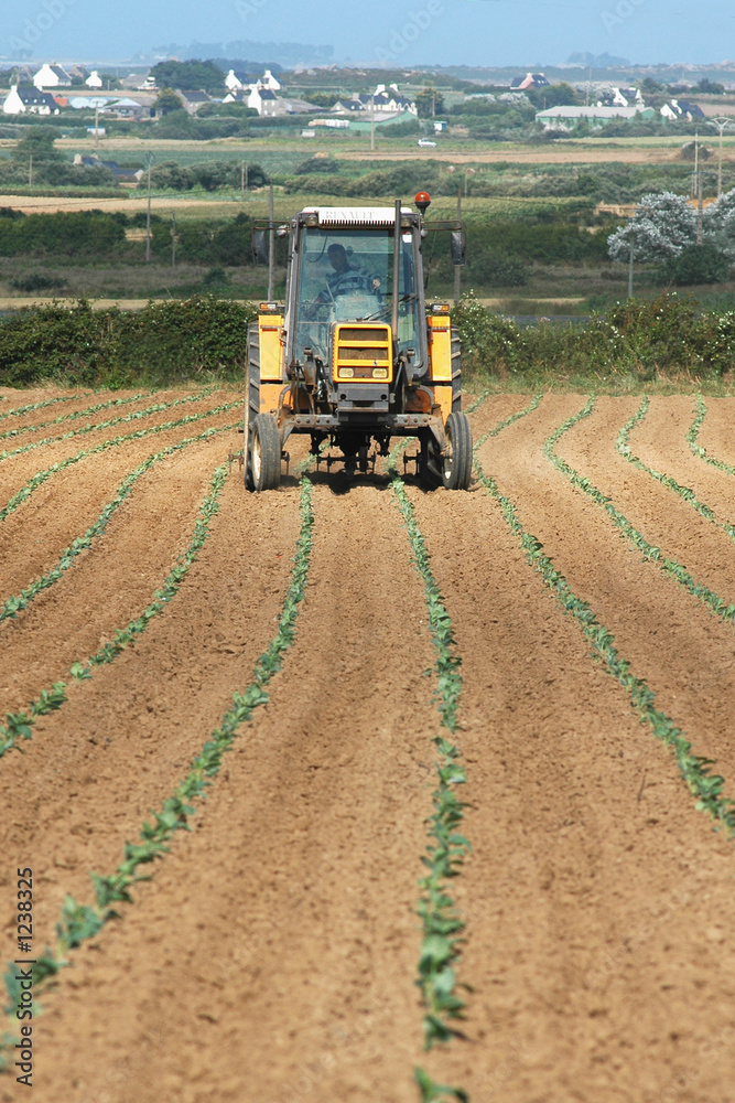 Fototapeta premium tracteur dans les champs