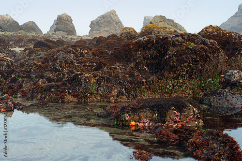 low tide 2