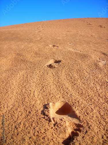 steps on desert