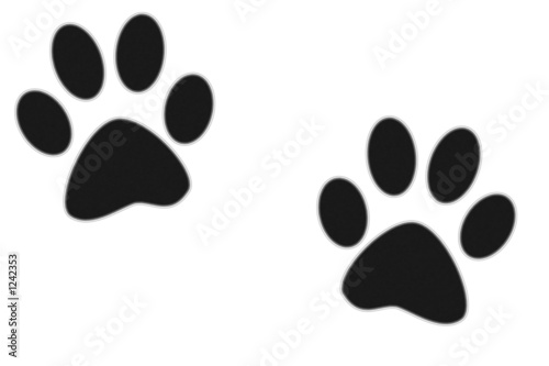 toes