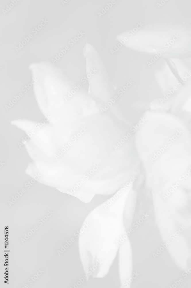 Obraz premium paper background