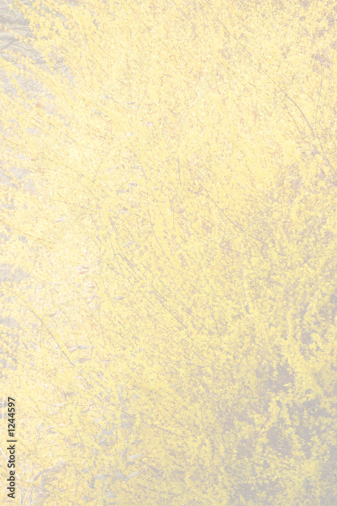 paper background paper background
