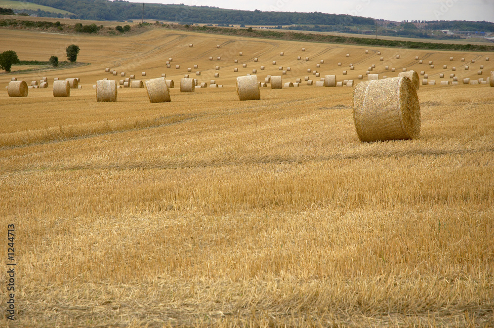 rolls of hay