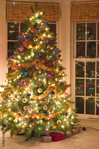 christmas tree