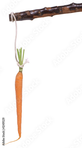 Canvas Print carrot and stick on white