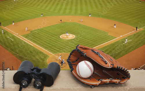 Canvas Print at the ball game
