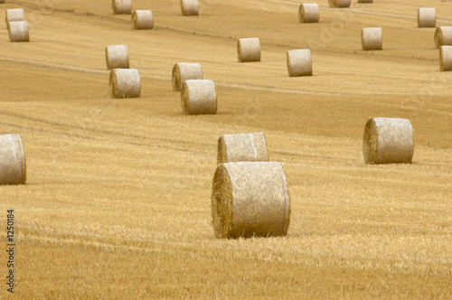 Valokuvatapetti rolls of hay