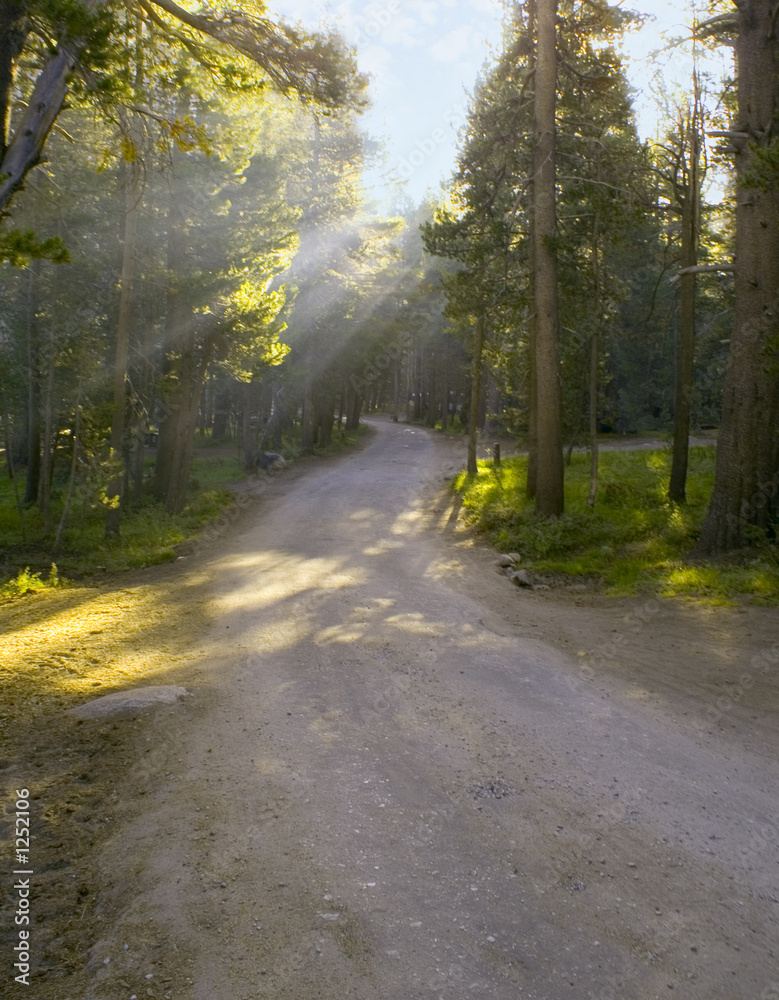 Obraz premium rays on a trail