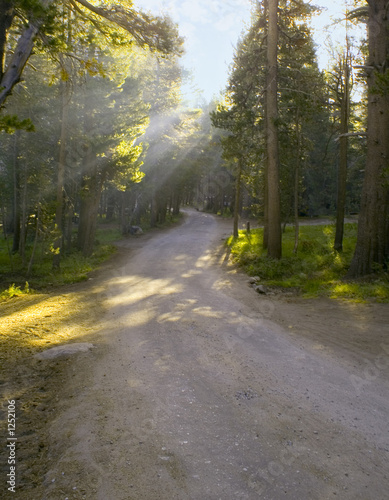 rays on a trail