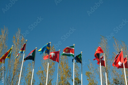 countries flags