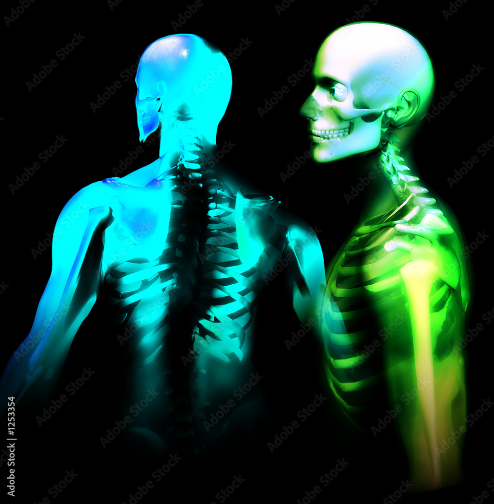 man bone 27 man bone 27