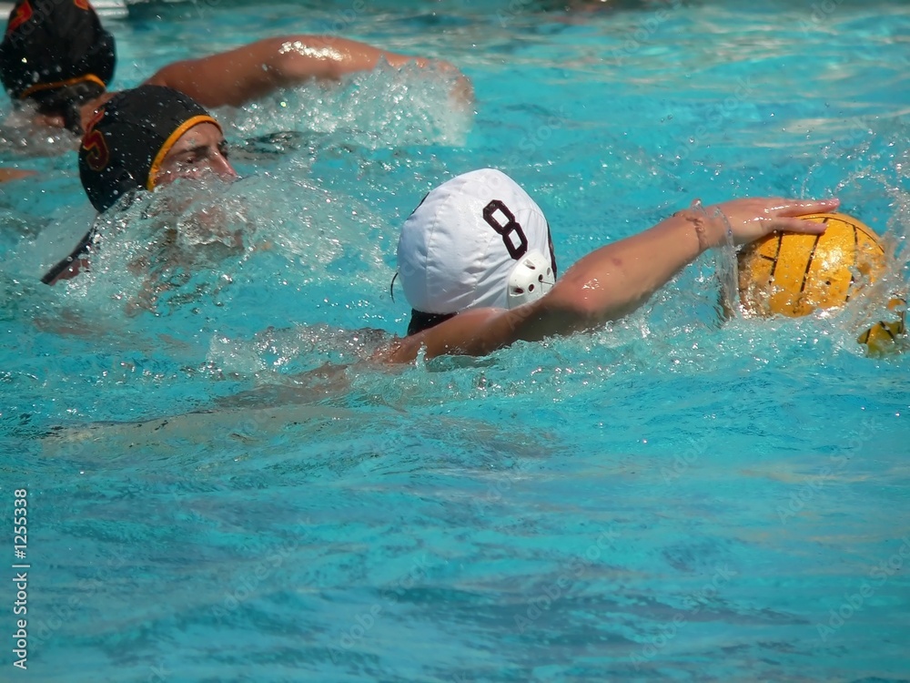 water polo series