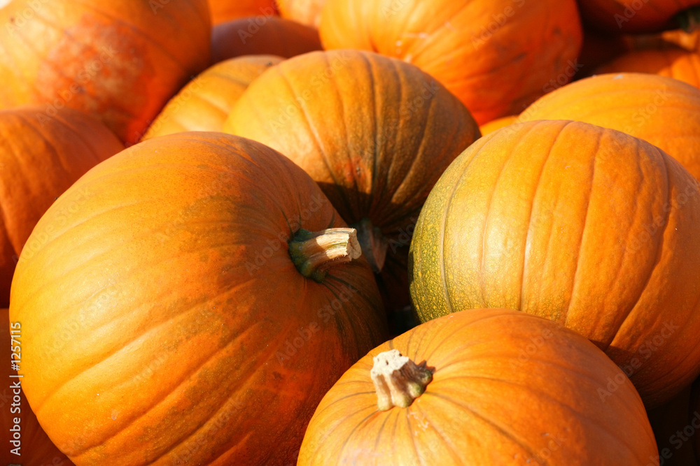 pumpkins2 pumpkins2