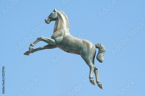 cheval sur ciel bleu
