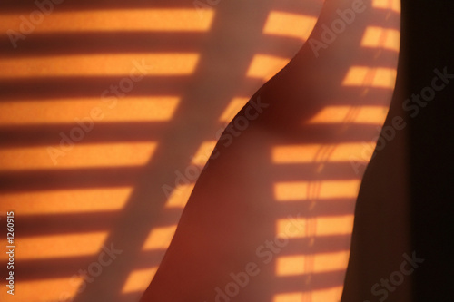 ass blinds