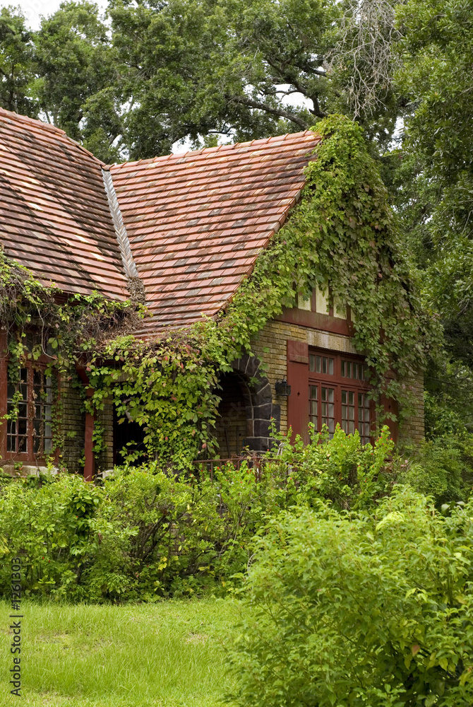 Overgrown Home