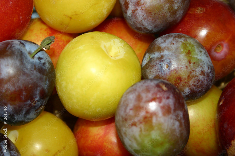 fresh plums