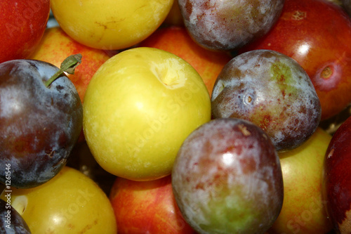 fresh plums