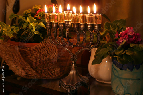 hanukkah menorah photo