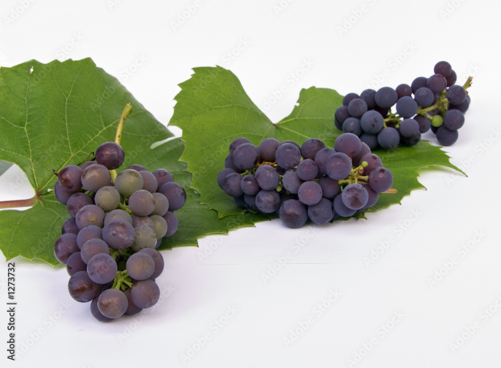 Fototapeta premium grape