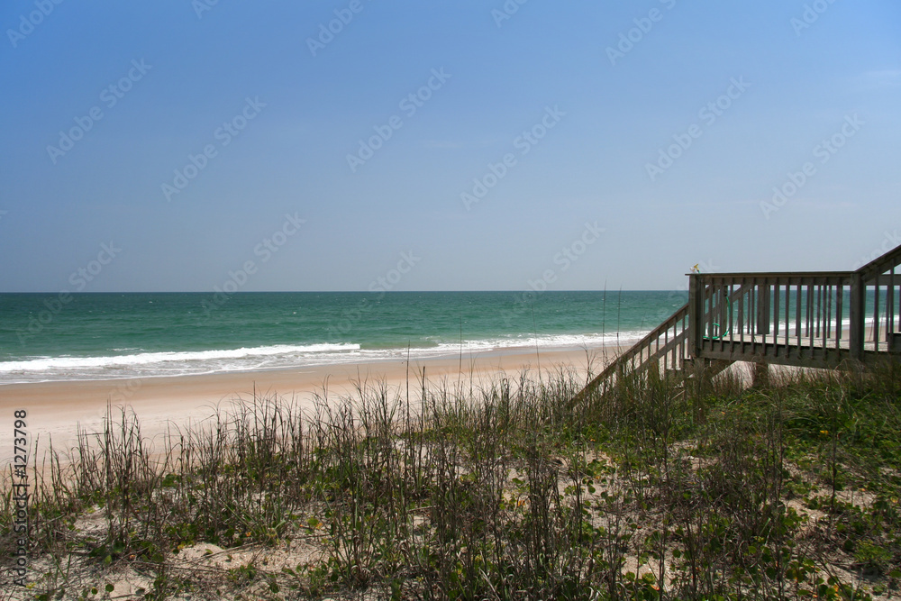 Fototapeta premium beautiful ocean scene