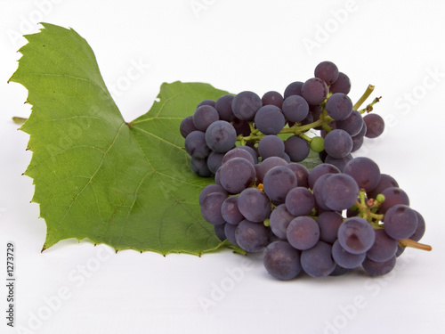 grape