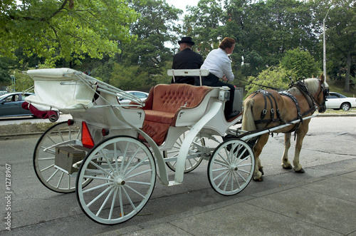 horse carriage in park