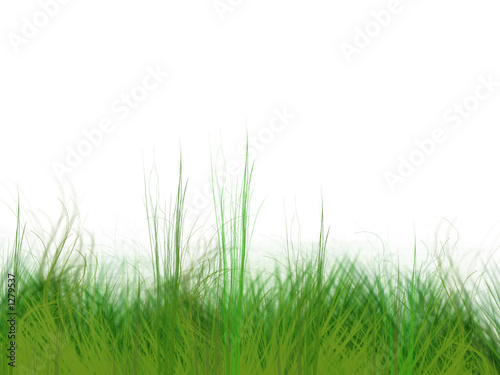 grass simulation
