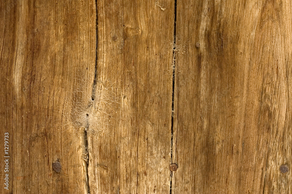 Obraz premium wood texture
