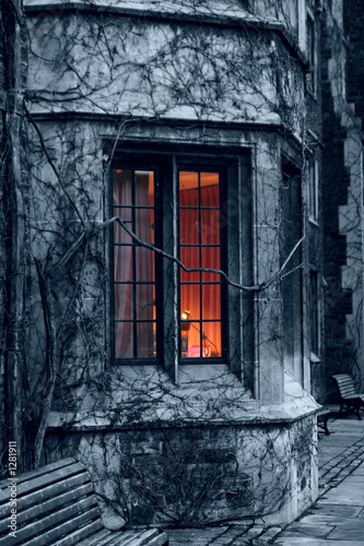 window and ivy