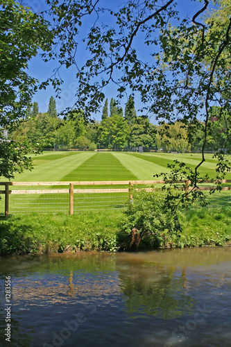 cricket pitch