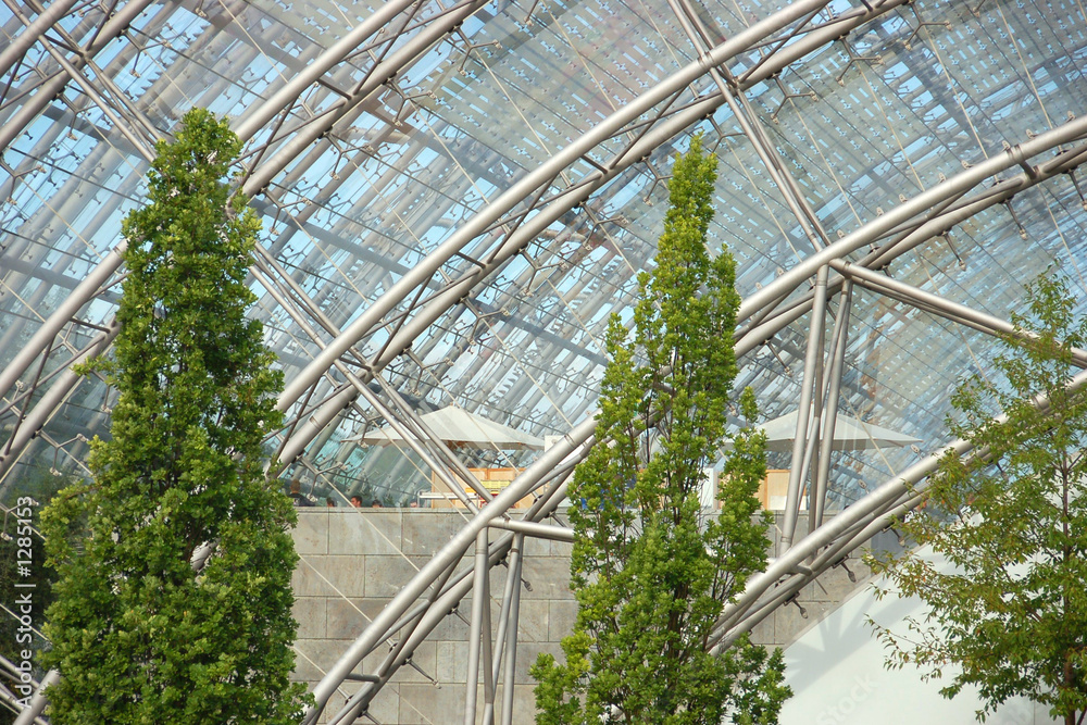 bäume for glasfassade