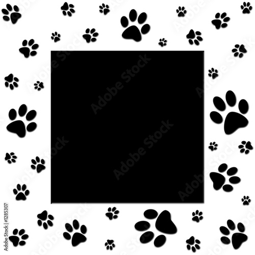 paws frame