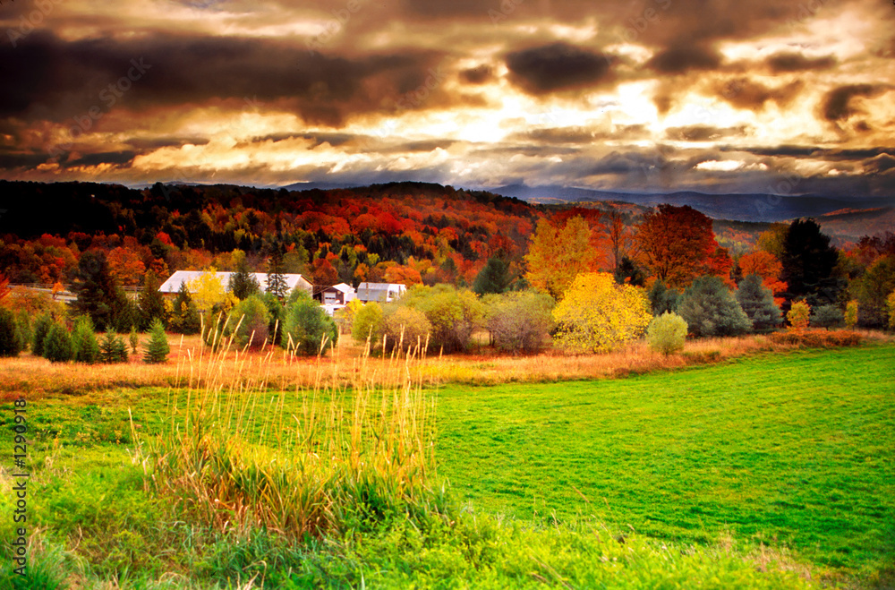 vermont fall faliage
