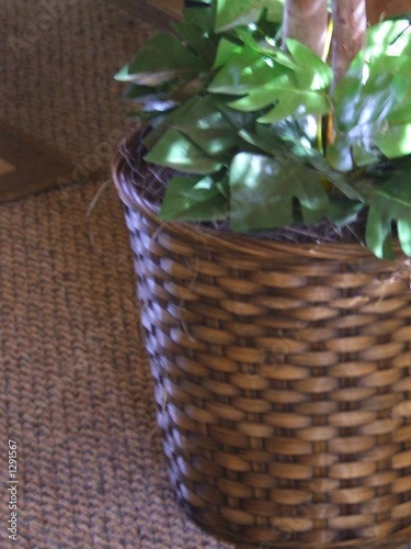 basket green