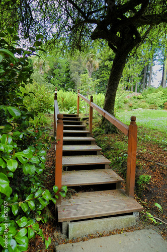 japanese garden in ireland