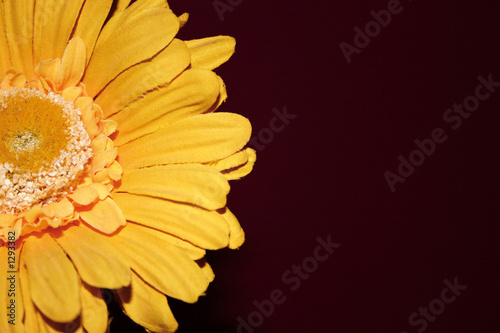 fleur artificielle jaune