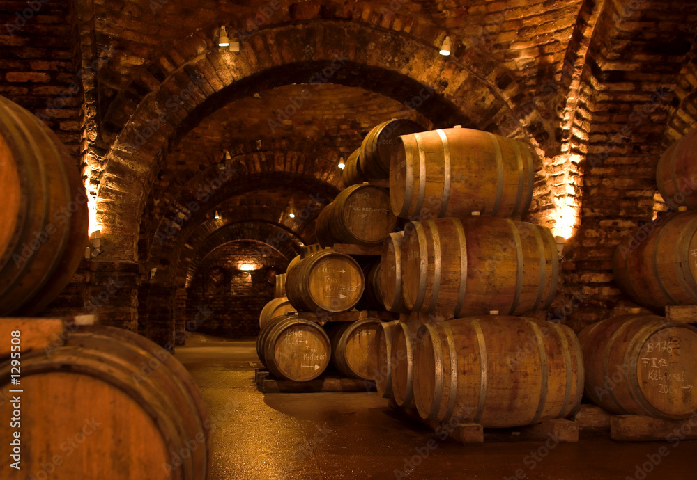 Fotografie, Obraz wine-cellar