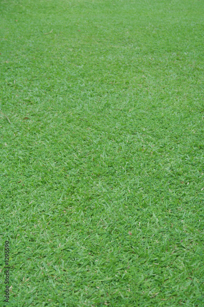 Naklejka grass