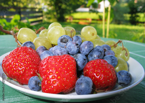 great fruit plate ! photo