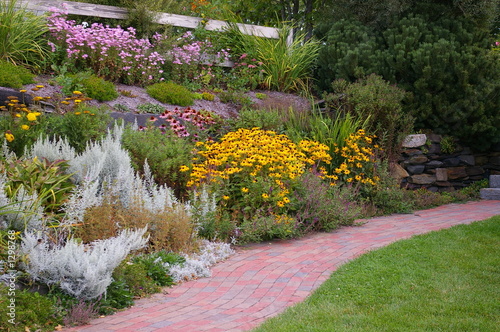 Foto garden path