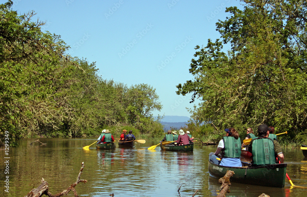 Obraz premium canoers on the water