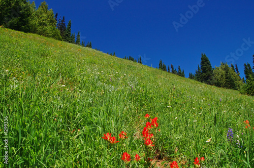 mountain landscape photo