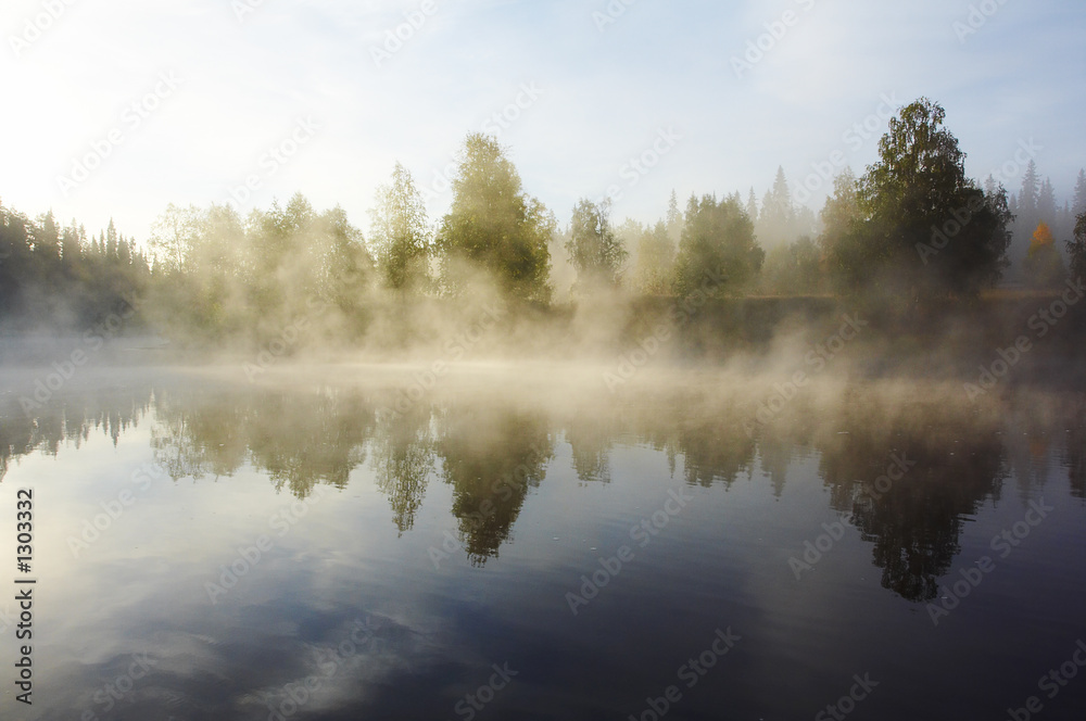 morning mist morning mist
