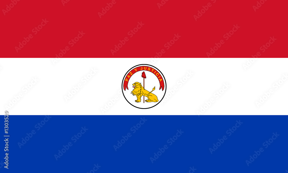 Fototapeta premium flag of paraguay (reverse)