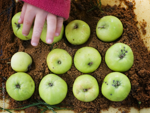 apple pie
