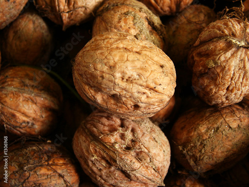 walnuts close-up