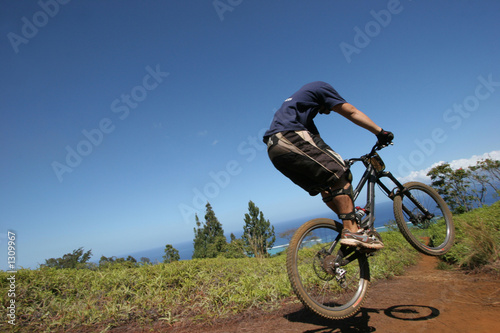 vtt